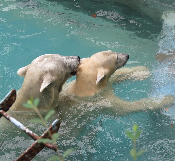 f0002743_0411435.jpg