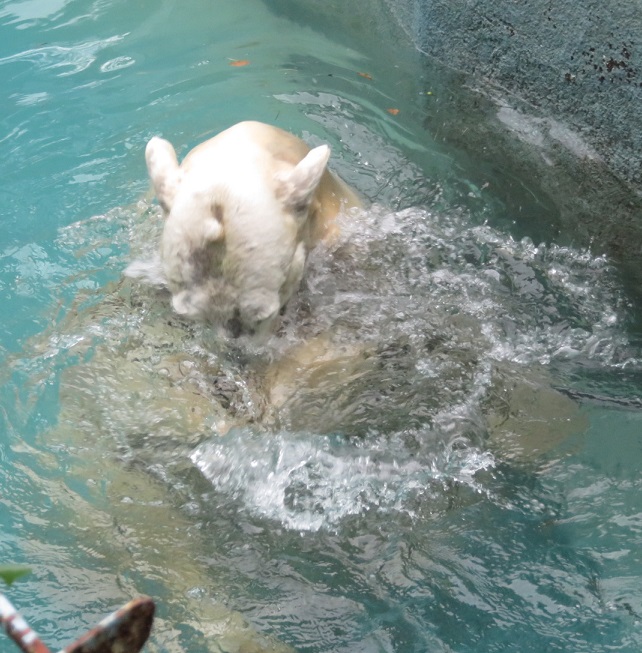 f0002743_042790.jpg
