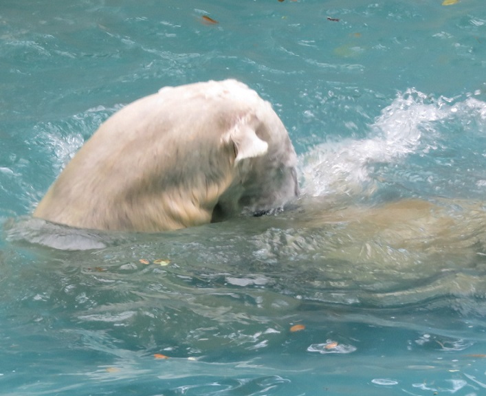 f0002743_0432454.jpg