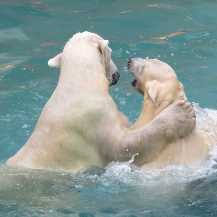 f0002743_043588.jpg