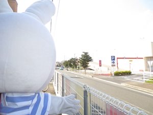 d0239647_1519661.jpg