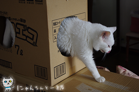 のびっ!_e0031853_23531037.jpg