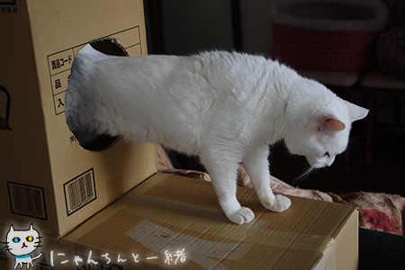 のびっ!_e0031853_23532593.jpg
