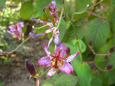 c0289473_9204517.jpg