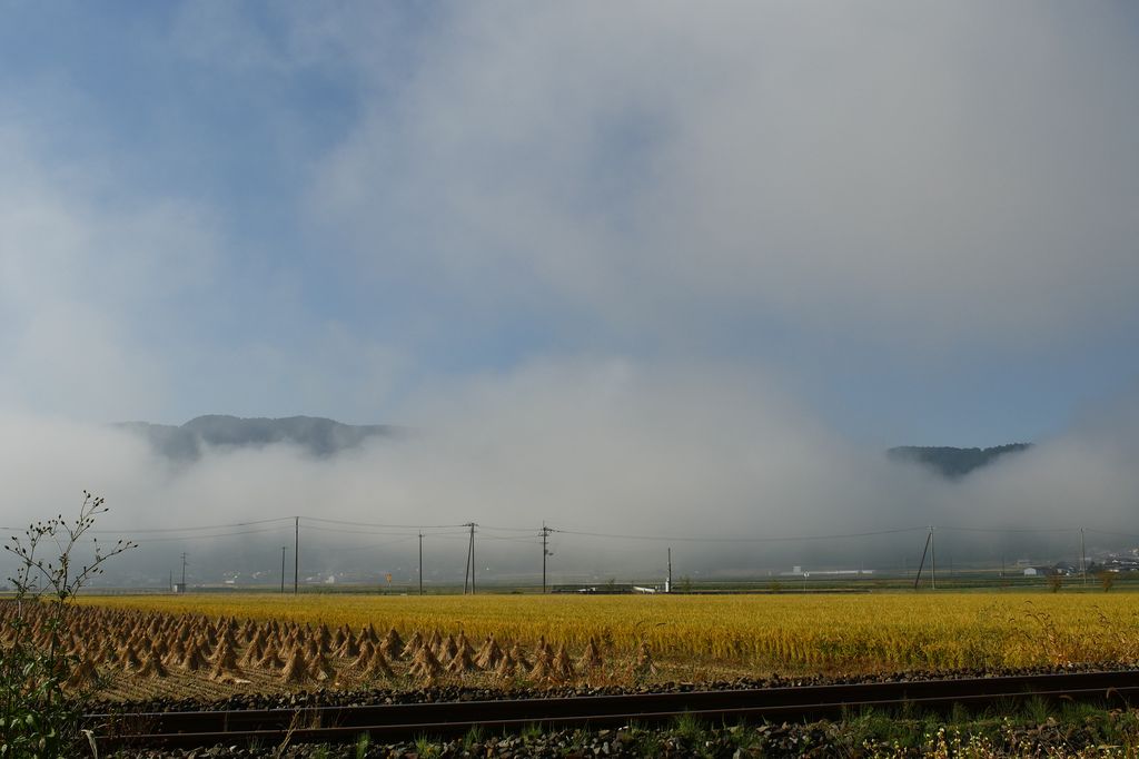 e0152576_20154982.jpg