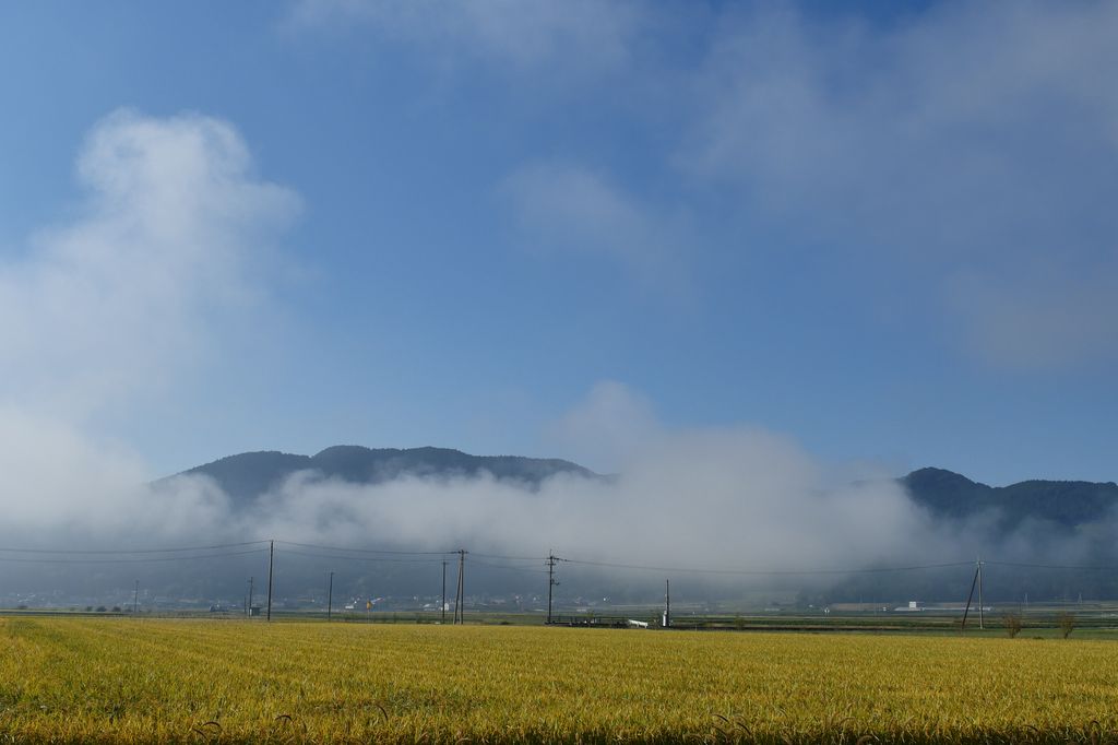 e0152576_20165764.jpg