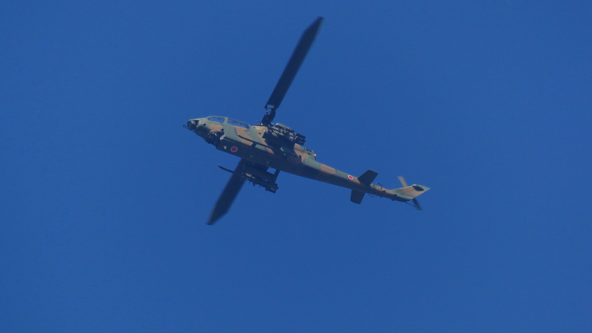 a0185081_18552453.jpg