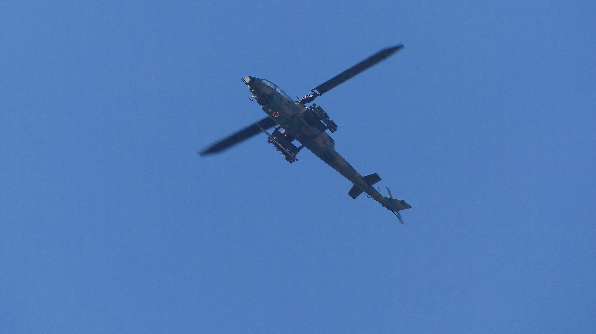 a0185081_18555887.jpg