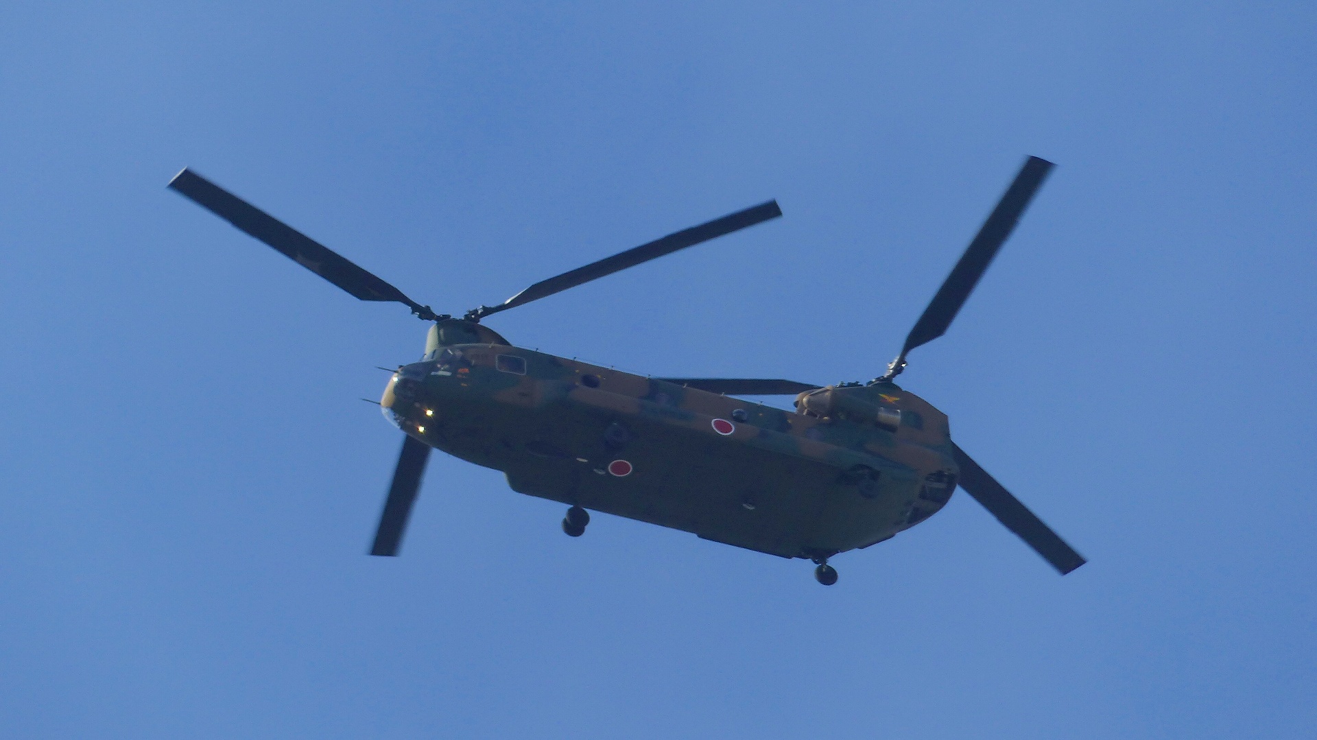 a0185081_18585335.jpg