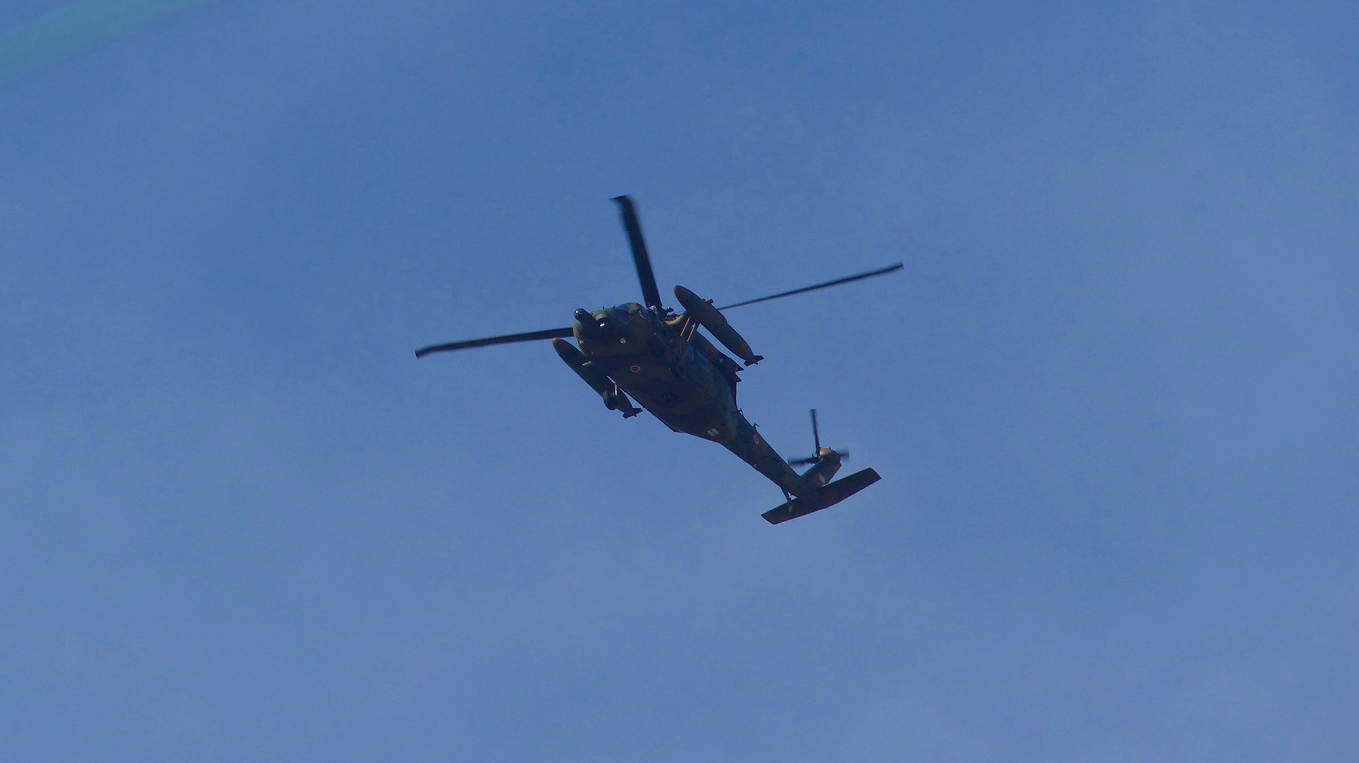 a0185081_1858542.jpg