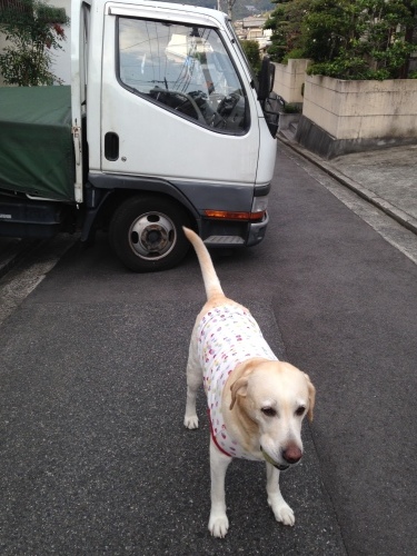 f0315081_18183826.jpeg
