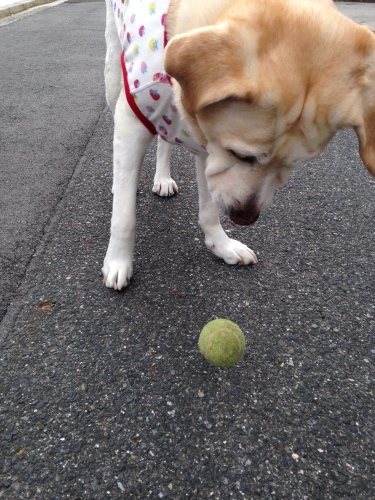 f0315081_18212594.jpeg