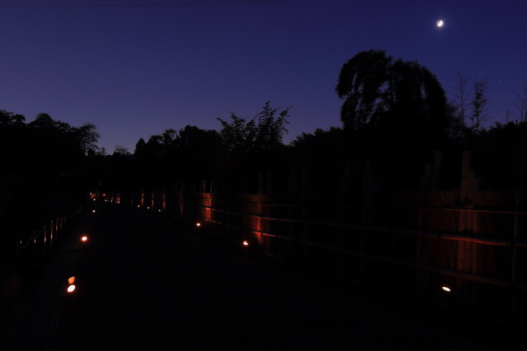 かぐやの夕べ_e0051888_5421970.jpg