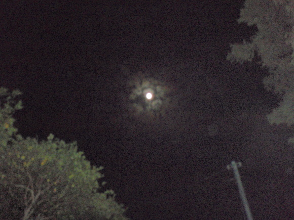 d0318191_22482156.jpg