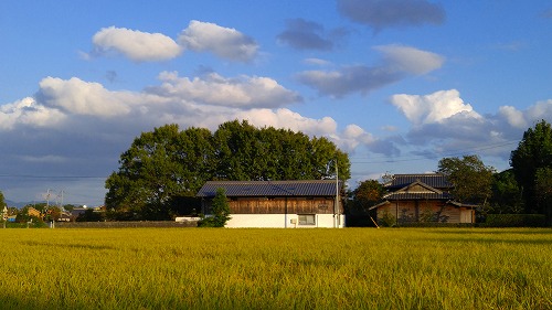 こんな田舎の片隅から通販はじめます。_e0221697_15501243.jpg