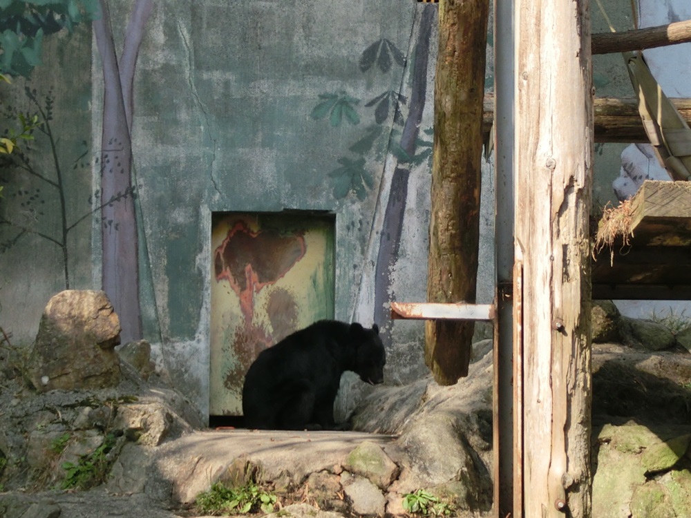 安佐動物園に行ってきました☆_e0190698_13494879.jpg