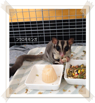 d0101704_2120385.png