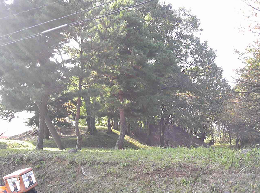 b0147805_10483748.png