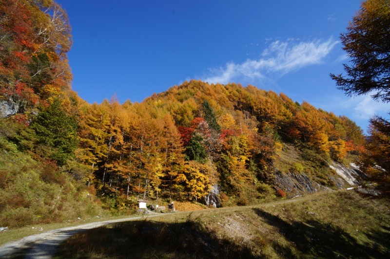 特別編　鳥倉林道の紅葉と塩見岳を目指して　その１８_e0292414_19485602.jpg