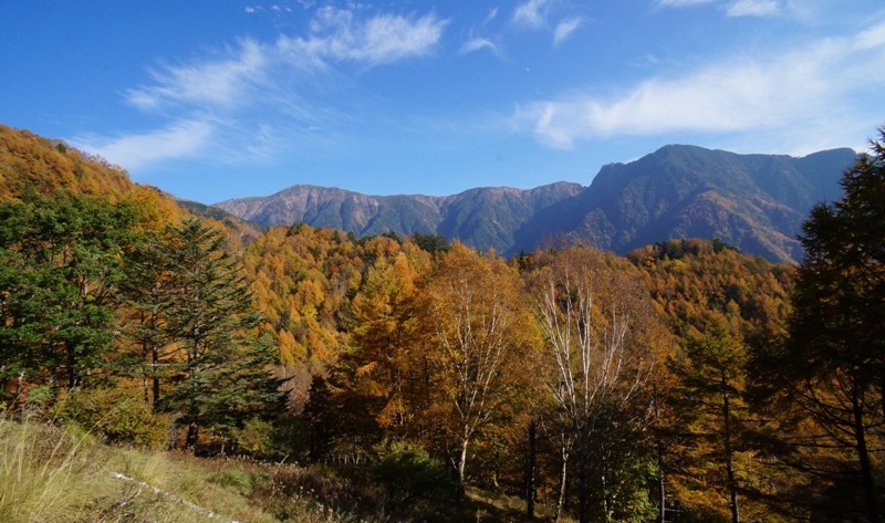 特別編　鳥倉林道の紅葉と塩見岳を目指して　その１８_e0292414_19485864.jpg