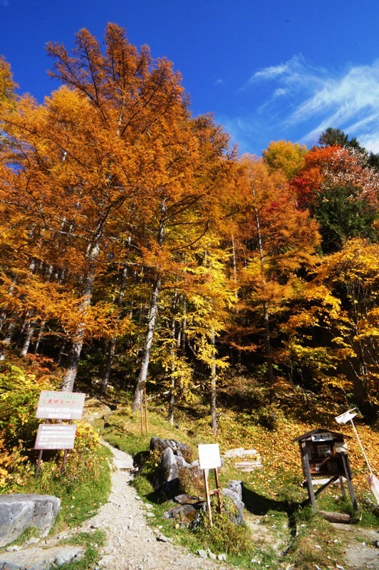 特別編　鳥倉林道の紅葉と塩見岳を目指して　その１８_e0292414_19491757.jpg