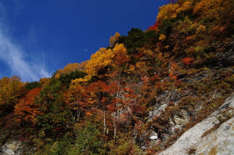 特別編　鳥倉林道の紅葉と塩見岳を目指して　その１８_e0292414_19492848.jpg