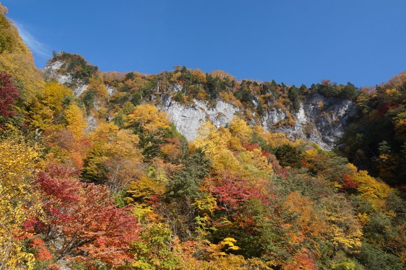 特別編　鳥倉林道の紅葉と塩見岳を目指して　その１８_e0292414_19494115.jpg