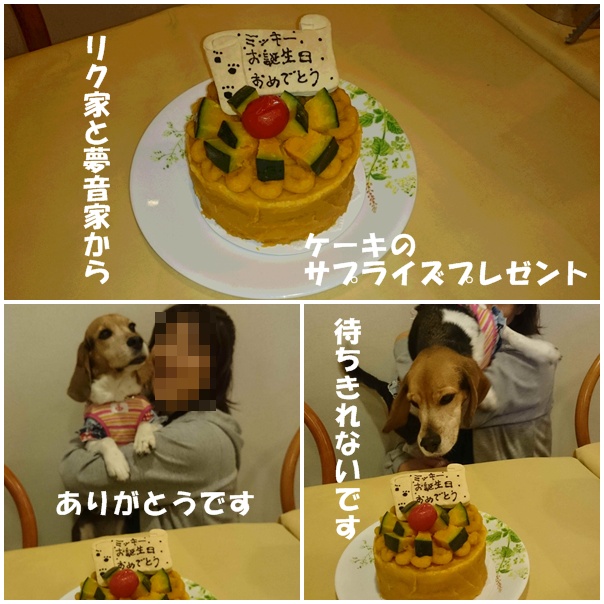 ミッキーのお誕生日旅行_c0166622_13485114.jpg