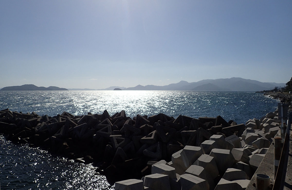 c0064025_1585217.jpg