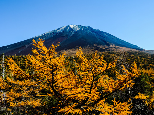 2017.10.14ＮＩＫＫＥＩプラス１富士山10景_e0321032_20133364.jpg