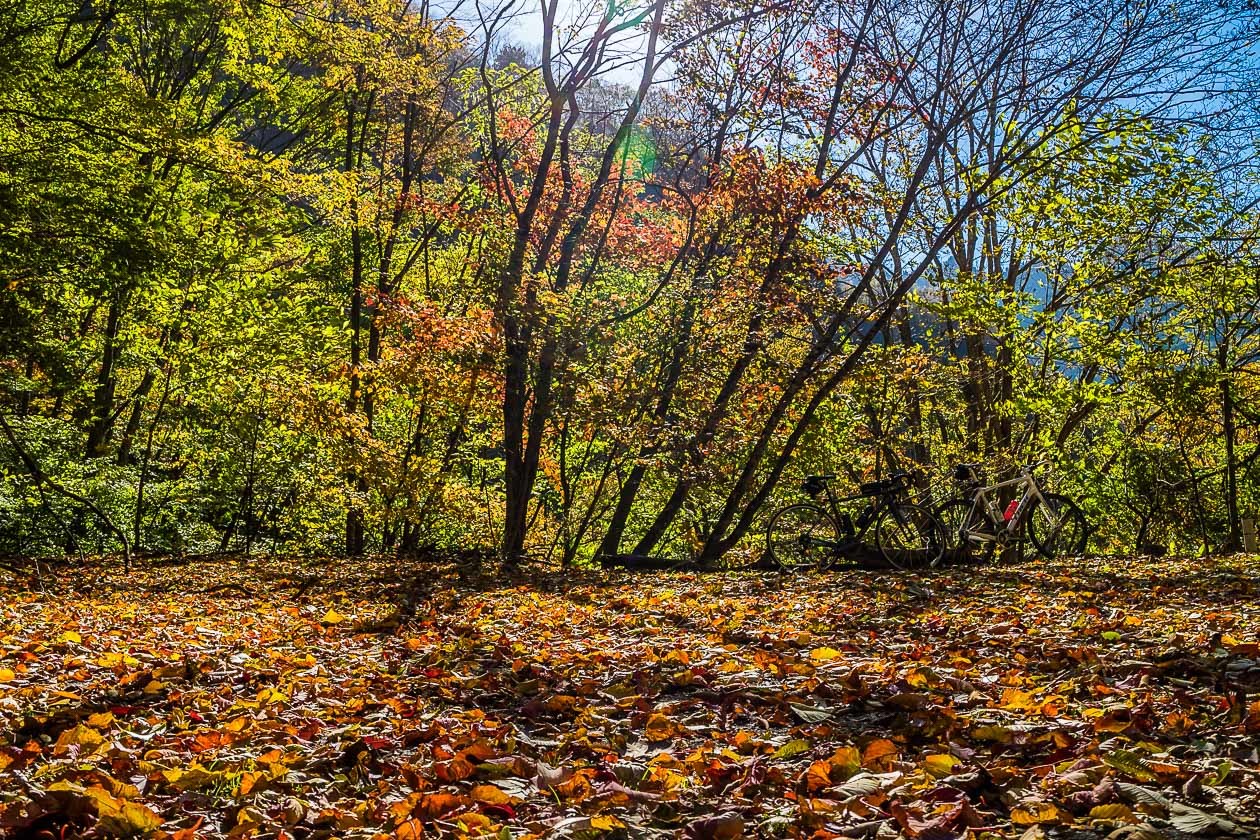 T.Aさんと奥秩父絶景紅葉ライド　その4　【感動のダウンヒル。八丁峠〜中津峡〜滝沢ダム】_b0295234_22372774.jpg