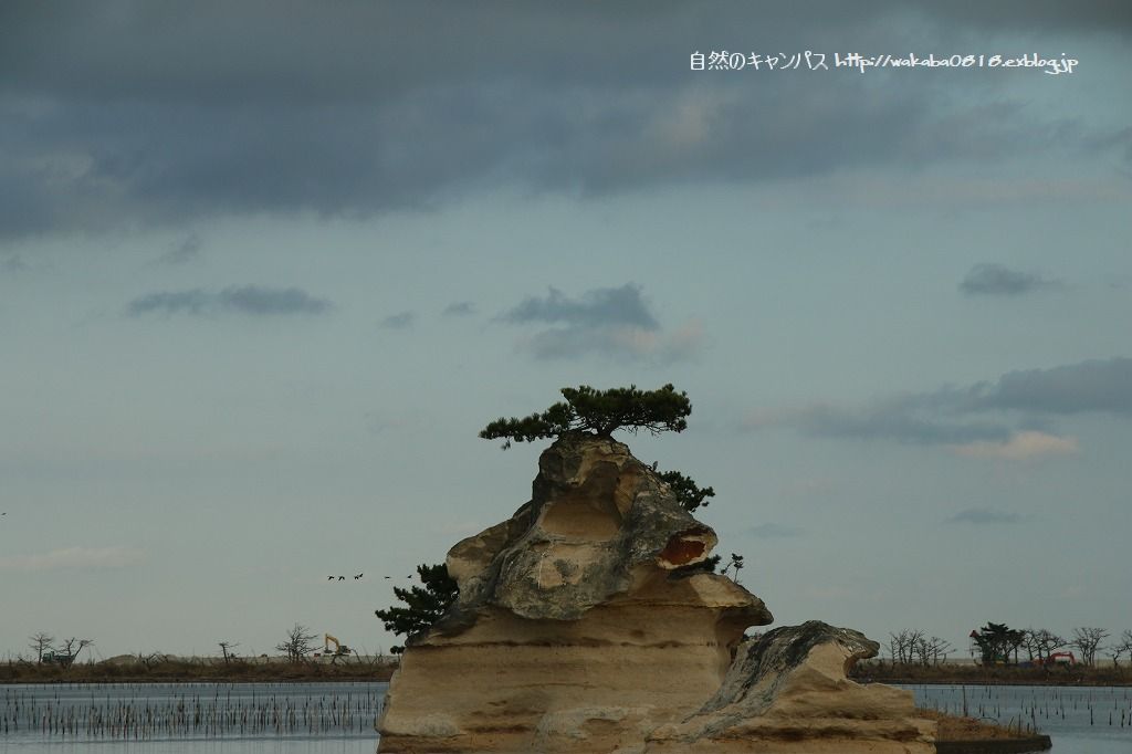 福島の復興の状況は・・・_e0052135_21462589.jpg