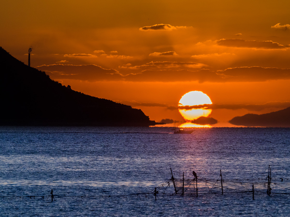 だるま朝日 児島 この道は風なり