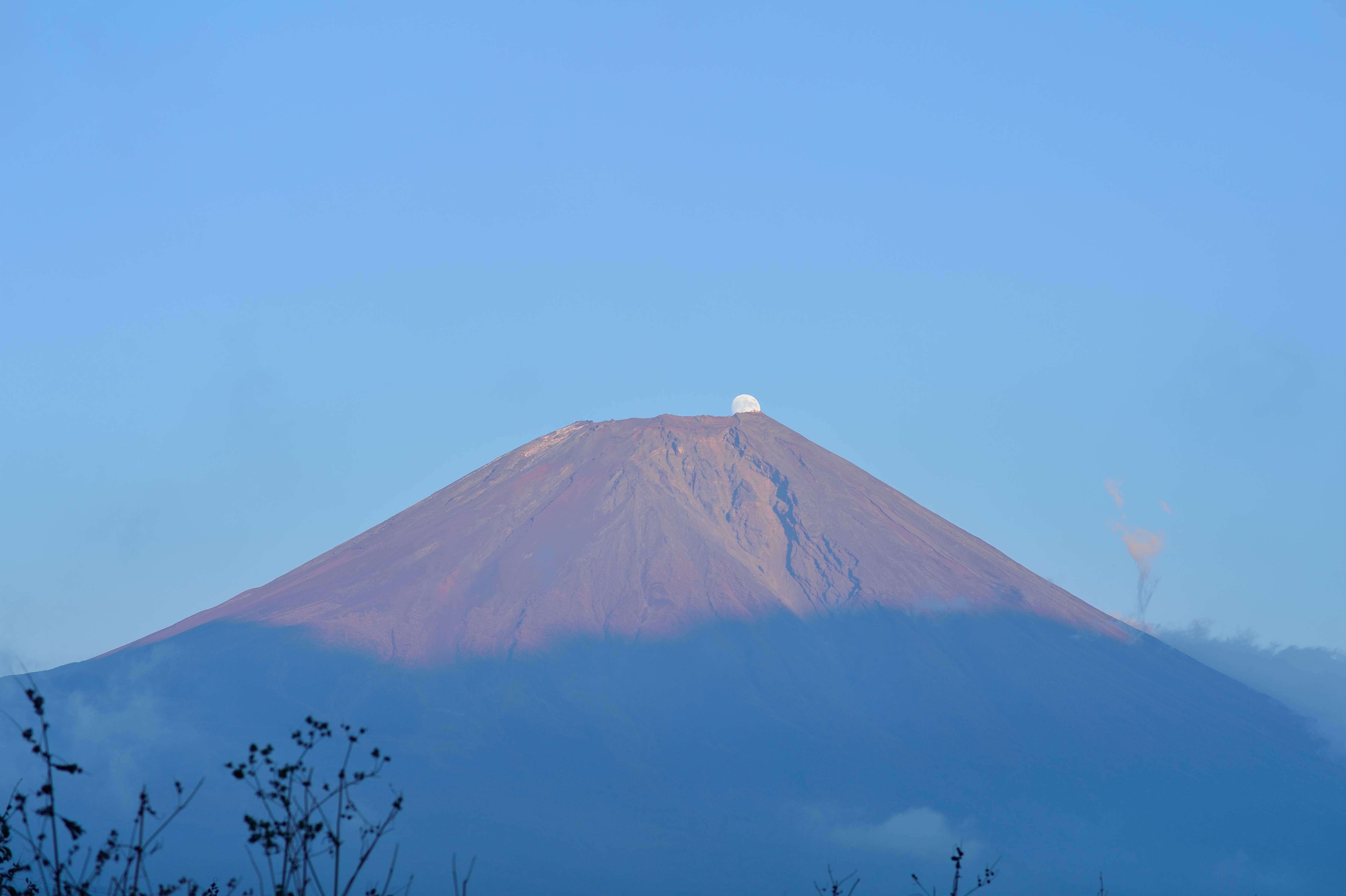 2015年10月25日　富士宮市人穴広見育成牧場奥　パール富士_c0314839_08474390.jpg