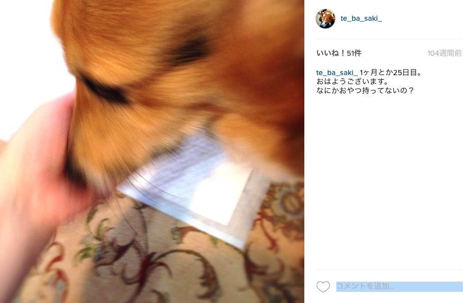 2年ひと月と25日目_d0149446_13181025.png