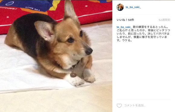 2年ひと月と26日目_d0149446_13475071.png