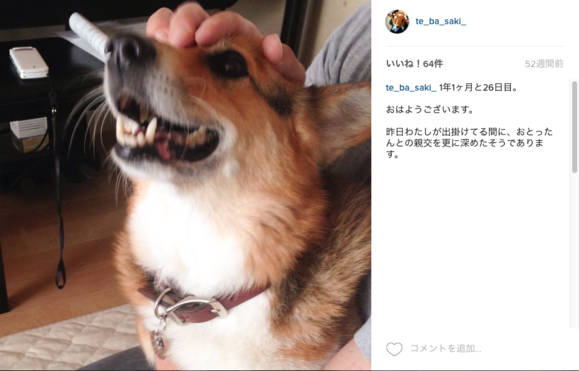 2年ひと月と26日目_d0149446_1347551.png