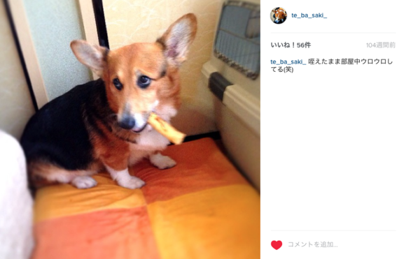 2年ひと月と26日目_d0149446_15595258.png