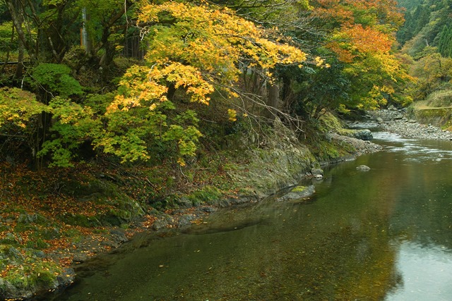 そろそろ見ごろに、奥山渓谷の紅葉・・・行雲流水。_d0005250_18415080.jpg