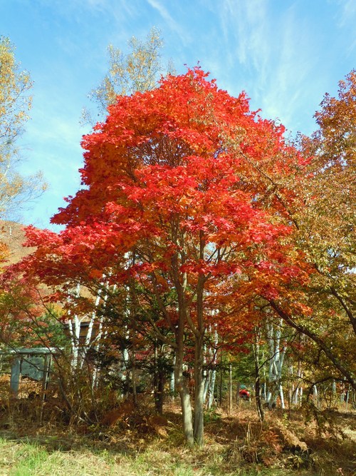 f0256164_10543065.jpg