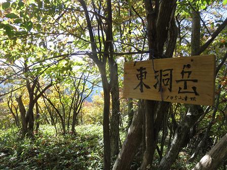 東洞岳・イノ洞　　わくわく止まらぬ里山で紅葉_f0302771_10594541.jpg