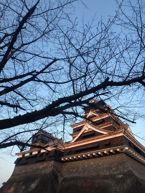 熊本城_d0195183_015991.jpg