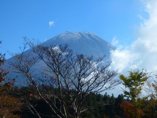 2015年10月28日 イメージはカラマツ_b0098584_1939431.jpg