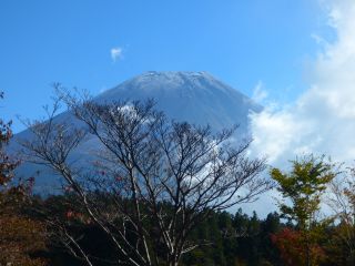 2015年10月28日　　　イメージはカラマツ_b0098584_1939431.jpg