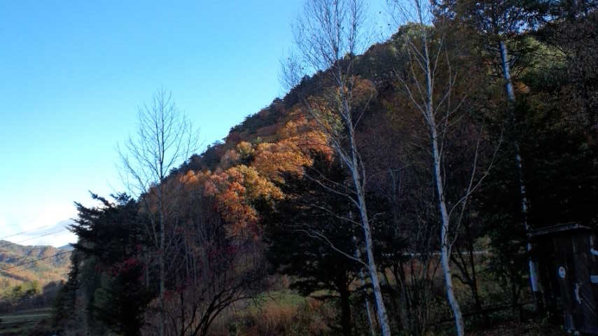 a0130586_8291463.jpg