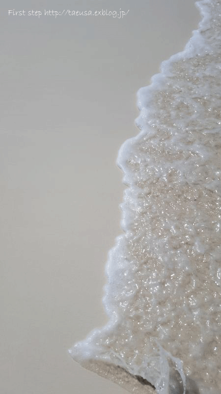 b0148991_0451962.gif