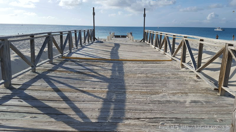 b0148991_0461661.gif