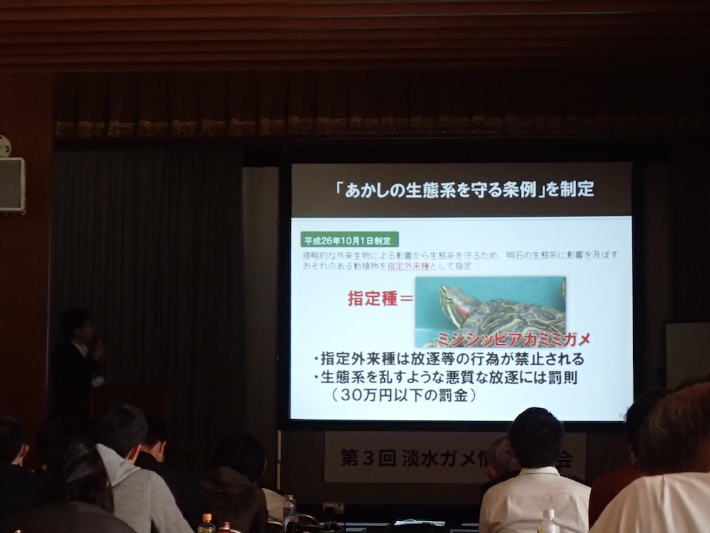 10/24-25 淡水ガメ情報交換会_a0010095_922111.jpg