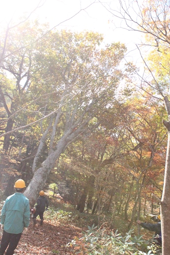 f0227395_102403.jpg