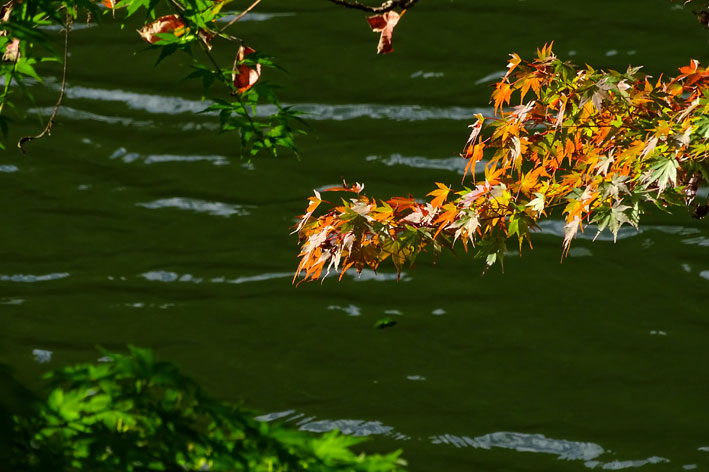 ロクタン池の紅葉もそろそろ _b0145296_1595192.jpg
